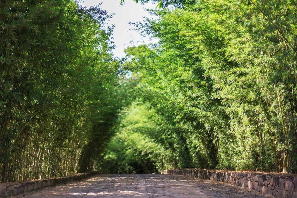 Pousada Bosque Do Lapao Ленсойс Экстерьер фото